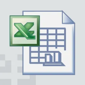 Microsoft Excel 08